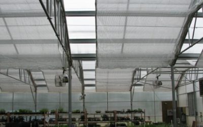 Ways to Reduce energy Costs in Commercial Greenhouses